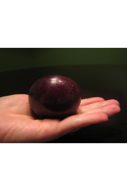 Слива Кинг Конг